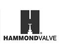 _0044_Hammond_logo-(2)